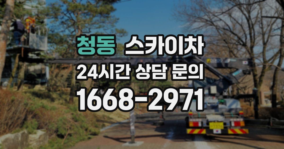 청동 스카이차