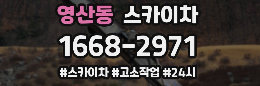 영산동 스카이차