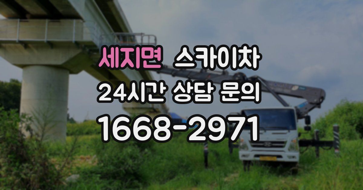 세지면 스카이차