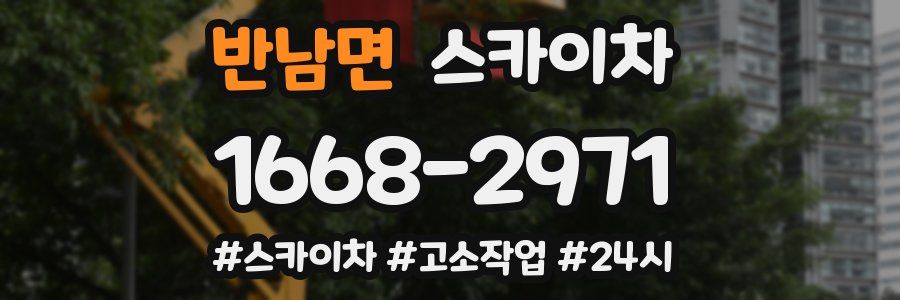 반남면 스카이차
