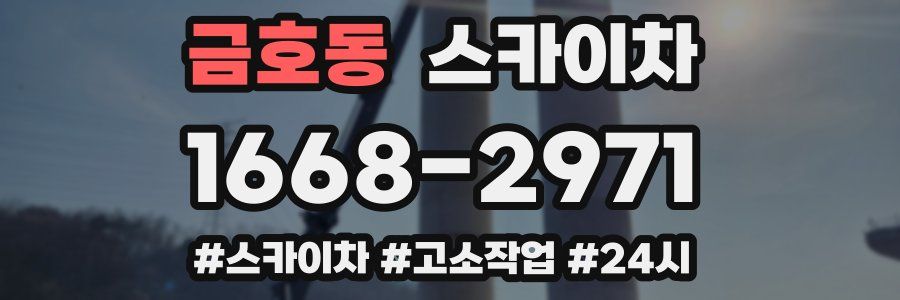 금호동 스카이차