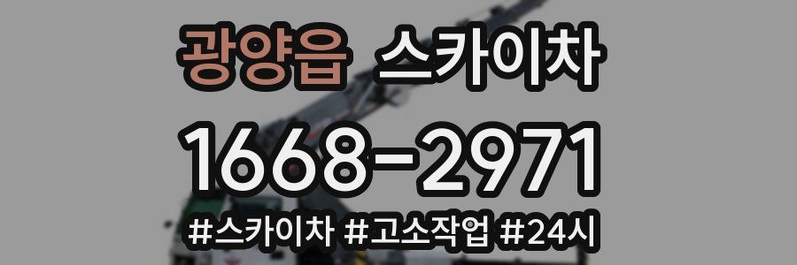 광양읍 스카이차