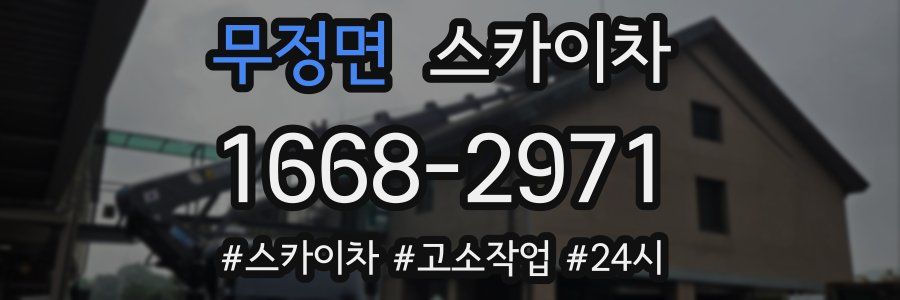 무정면 스카이차