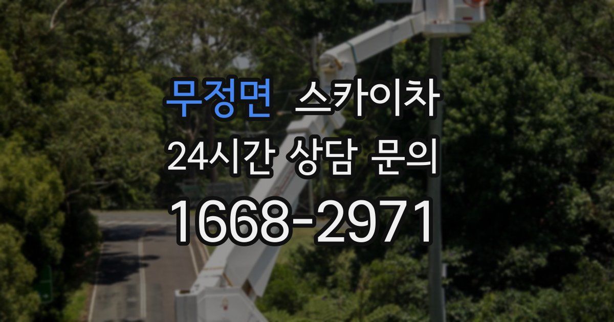 무정면 스카이차