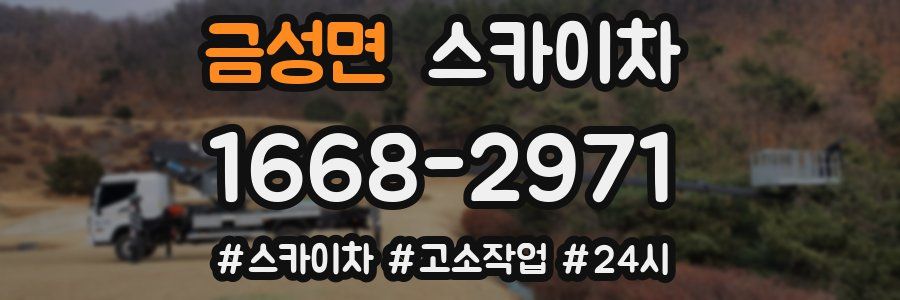 금성면 스카이차