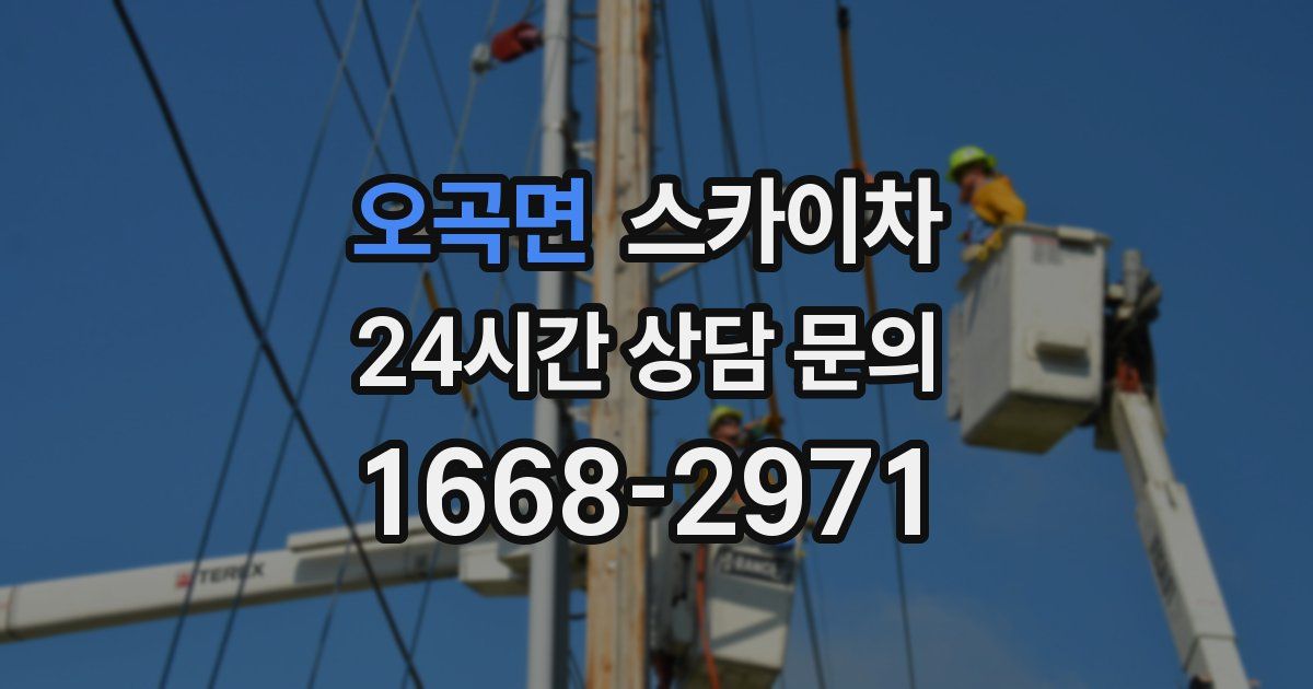 오곡면 스카이차