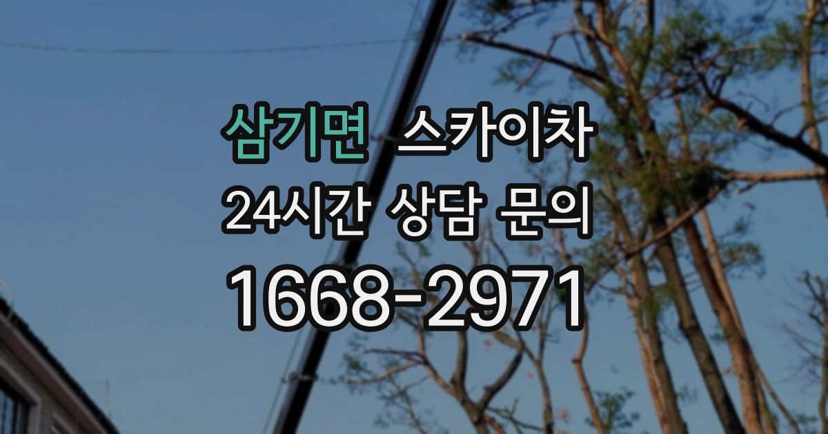 삼기면 스카이차
