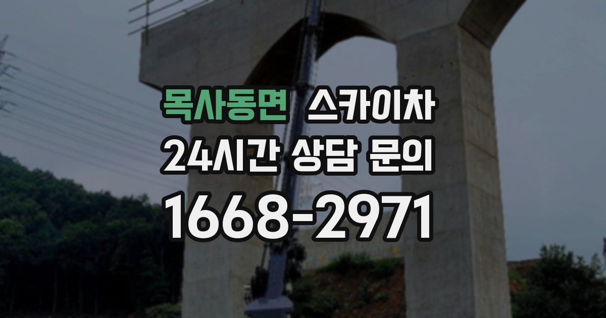 목사동면 스카이차
