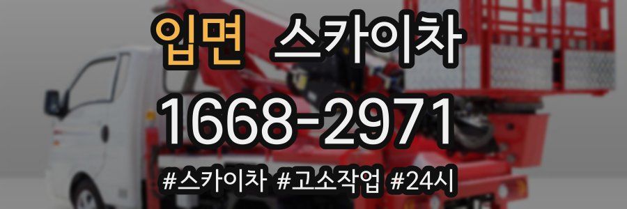 입면 스카이차