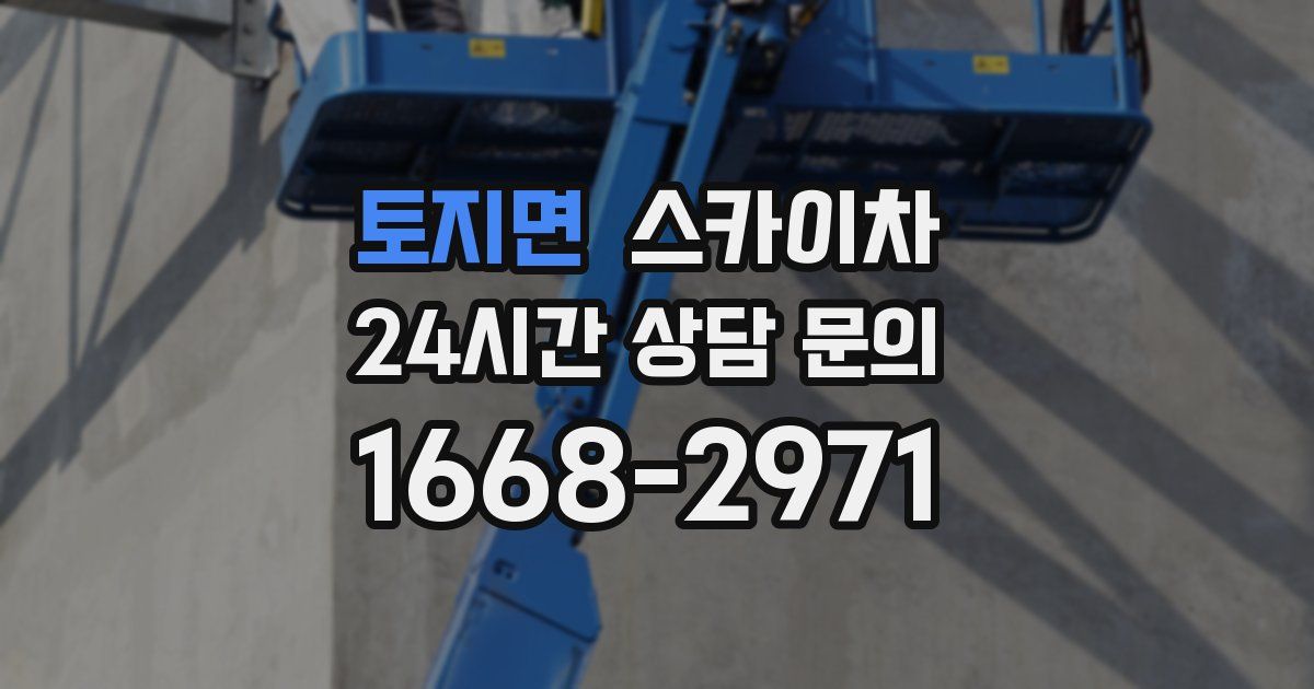 토지면 스카이차