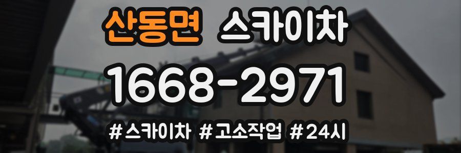 산동면 스카이차