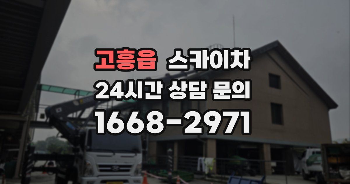 고흥읍 스카이차