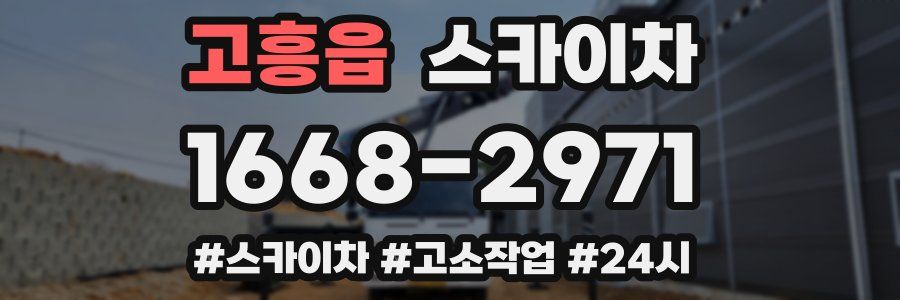고흥읍 스카이차