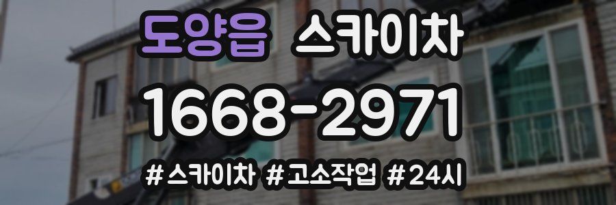도양읍 스카이차