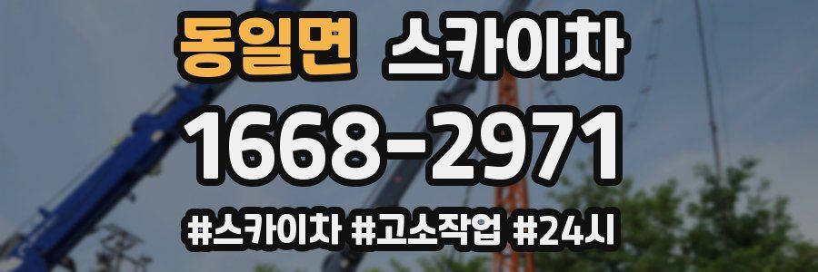 동일면 스카이차