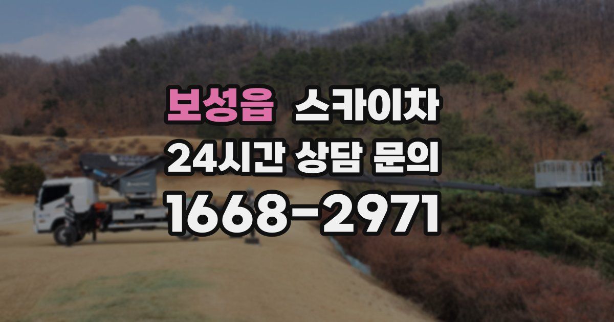 보성읍 스카이차