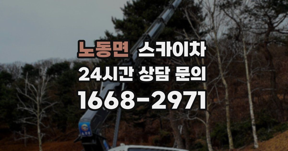 노동면 스카이차
