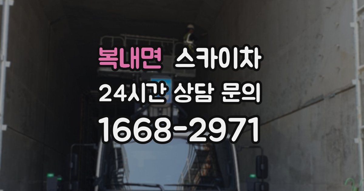 복내면 스카이차