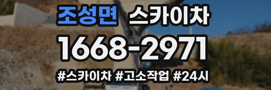 조성면 스카이차
