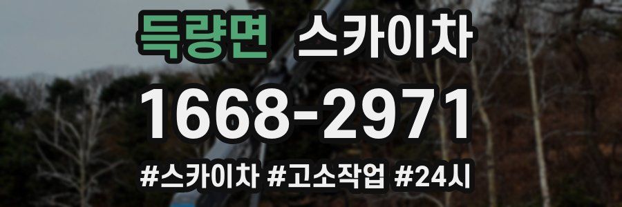 득량면 스카이차