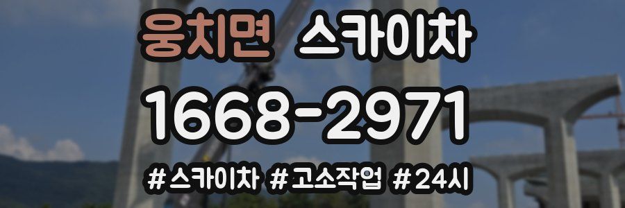웅치면 스카이차