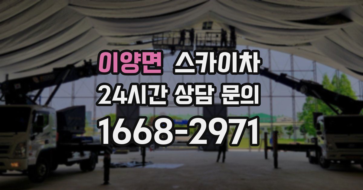 이양면 스카이차