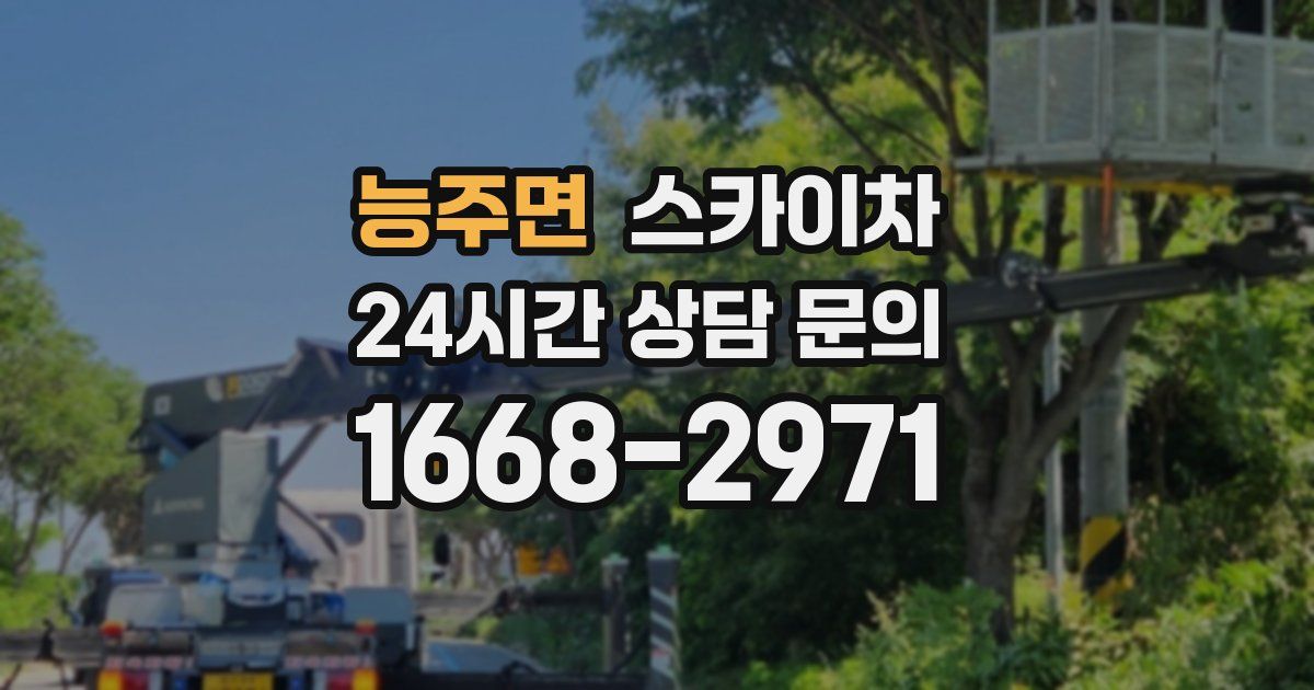 능주면 스카이차