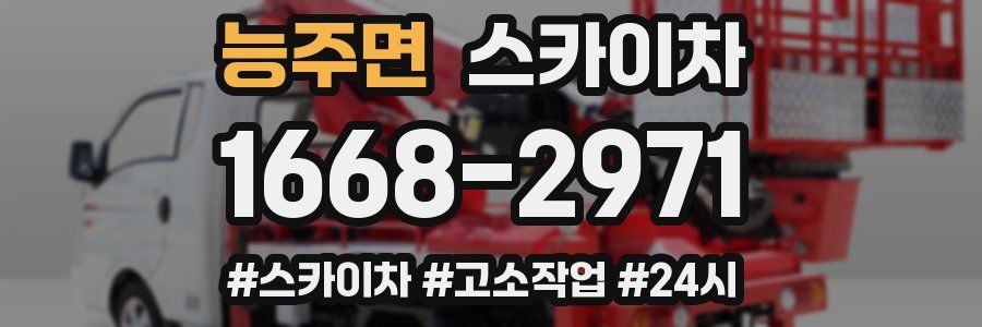 능주면 스카이차