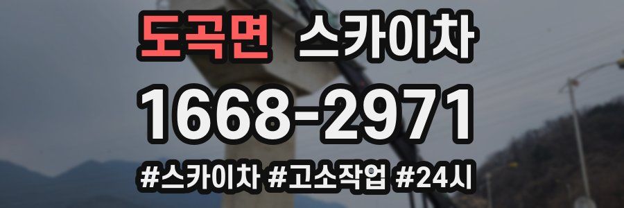 도곡면 스카이차