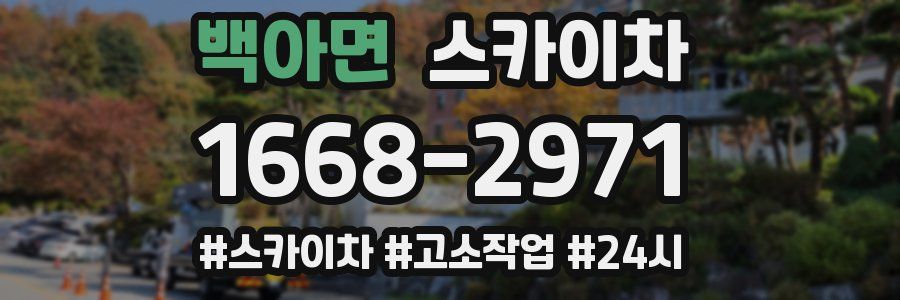 백아면 스카이차