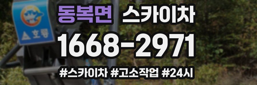 동복면 스카이차