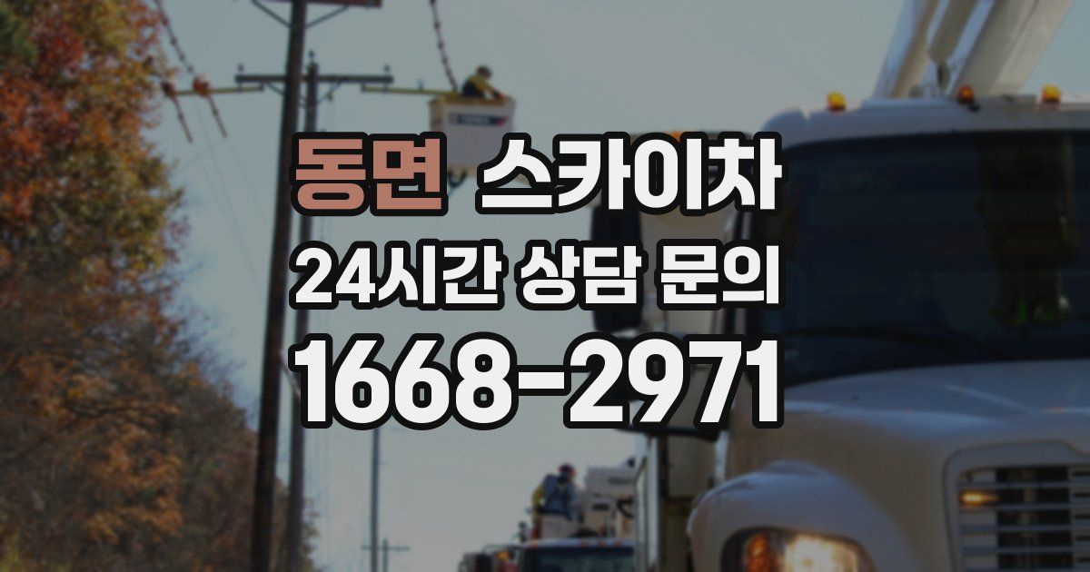 동면 스카이차