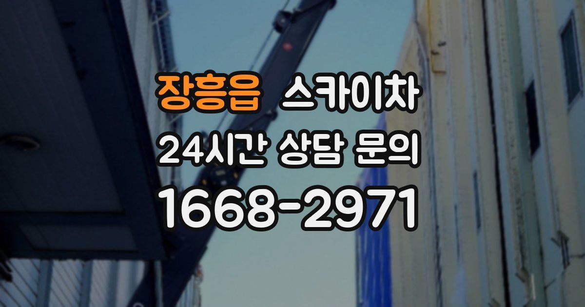 장흥읍 스카이차