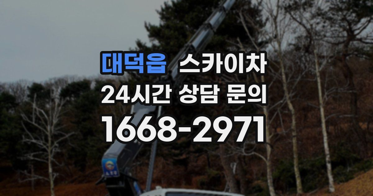 대덕읍 스카이차
