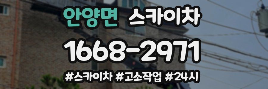 안양면 스카이차