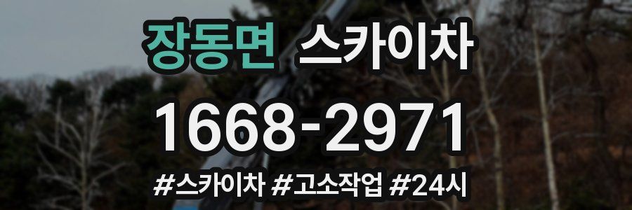 장동면 스카이차