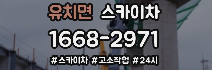 유치면 스카이차