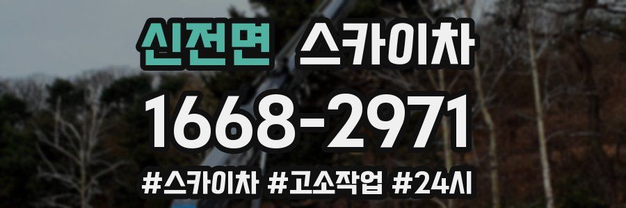 신전면 스카이차