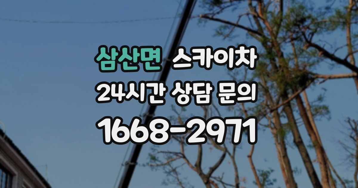 삼산면 스카이차