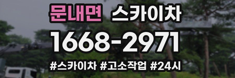 문내면 스카이차