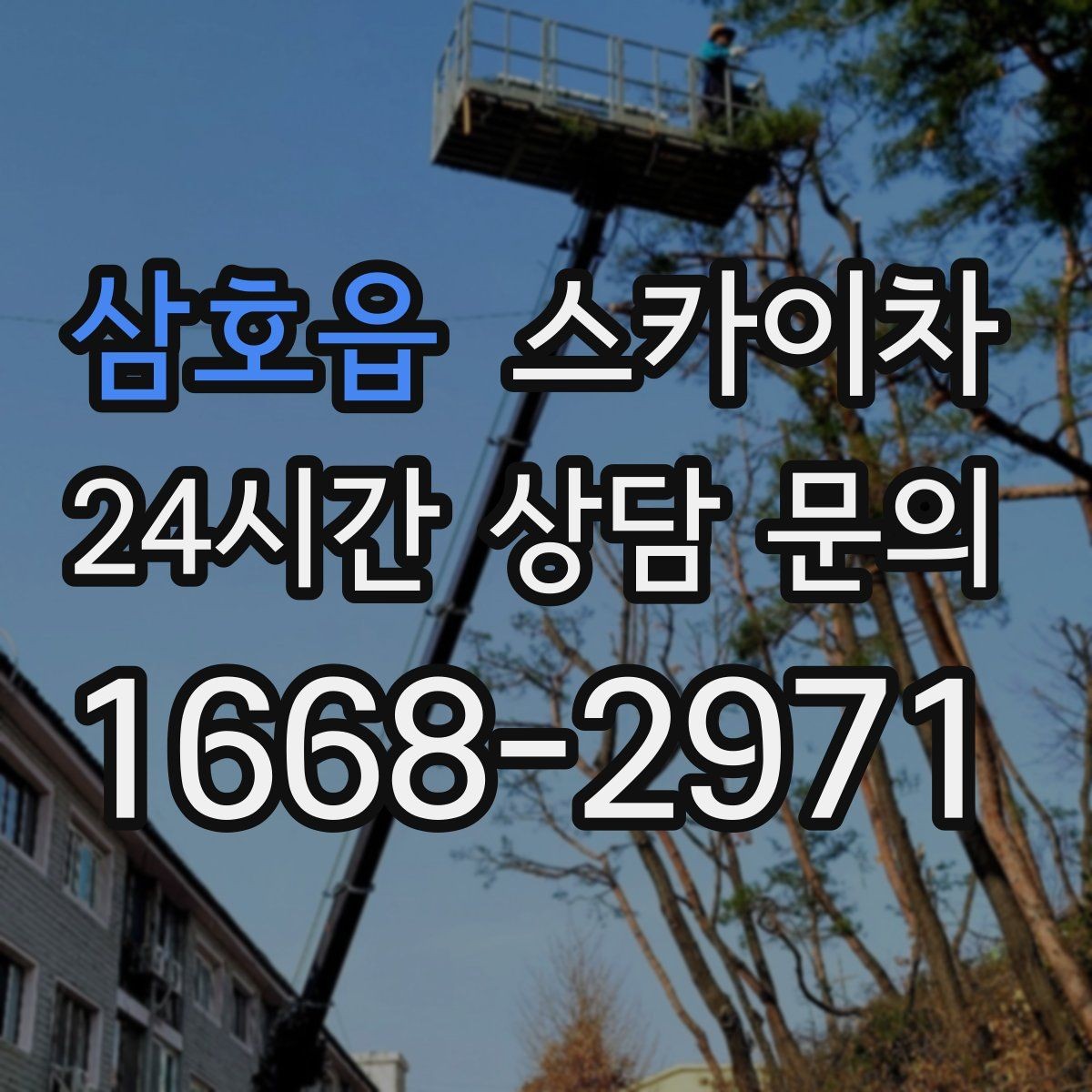 삼호읍 스카이차 현장 사진만으로도 작업 가능 여부 확인