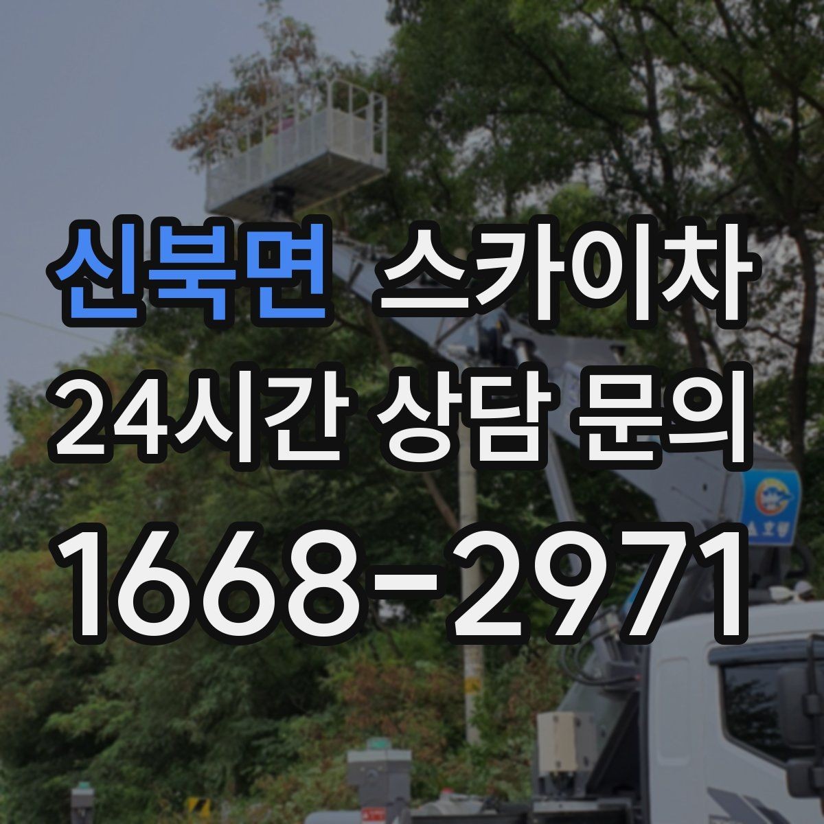 신북면 스카이차 매장 외부 스피커 라인 정리 작업