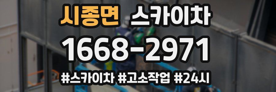 시종면 스카이차