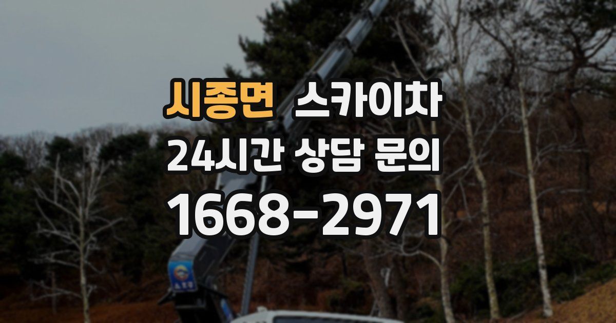 시종면 스카이차