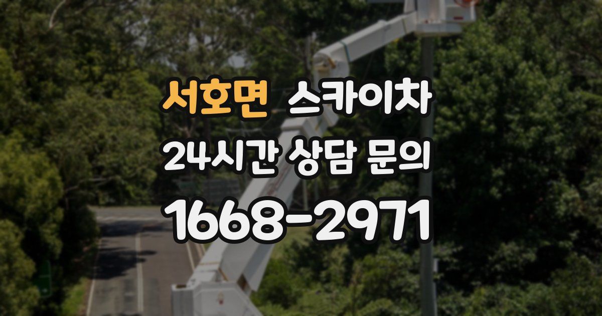 서호면 스카이차