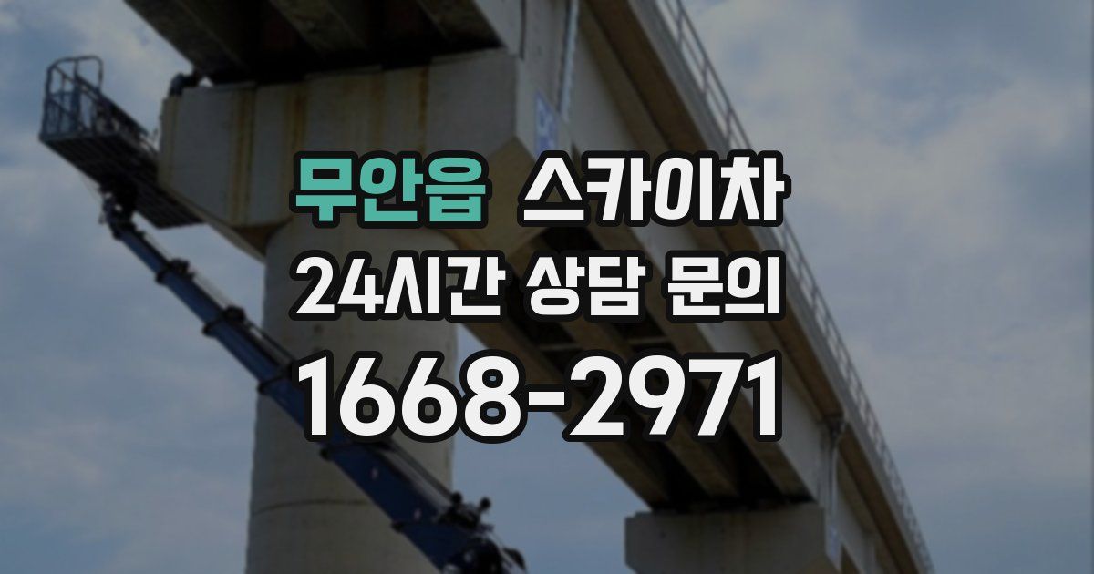 무안읍 스카이차
