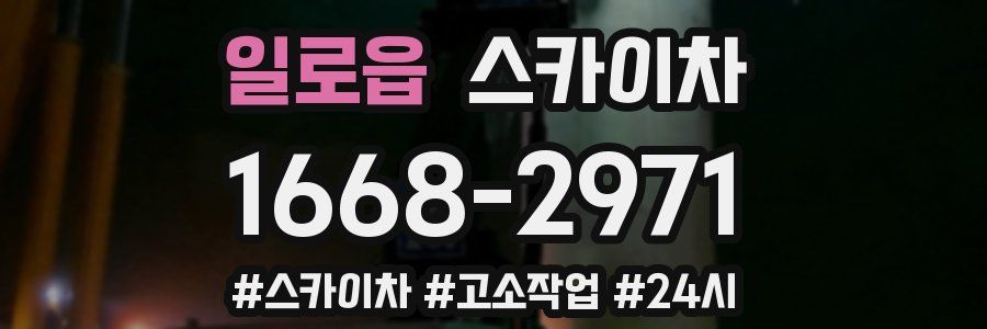 일로읍 스카이차