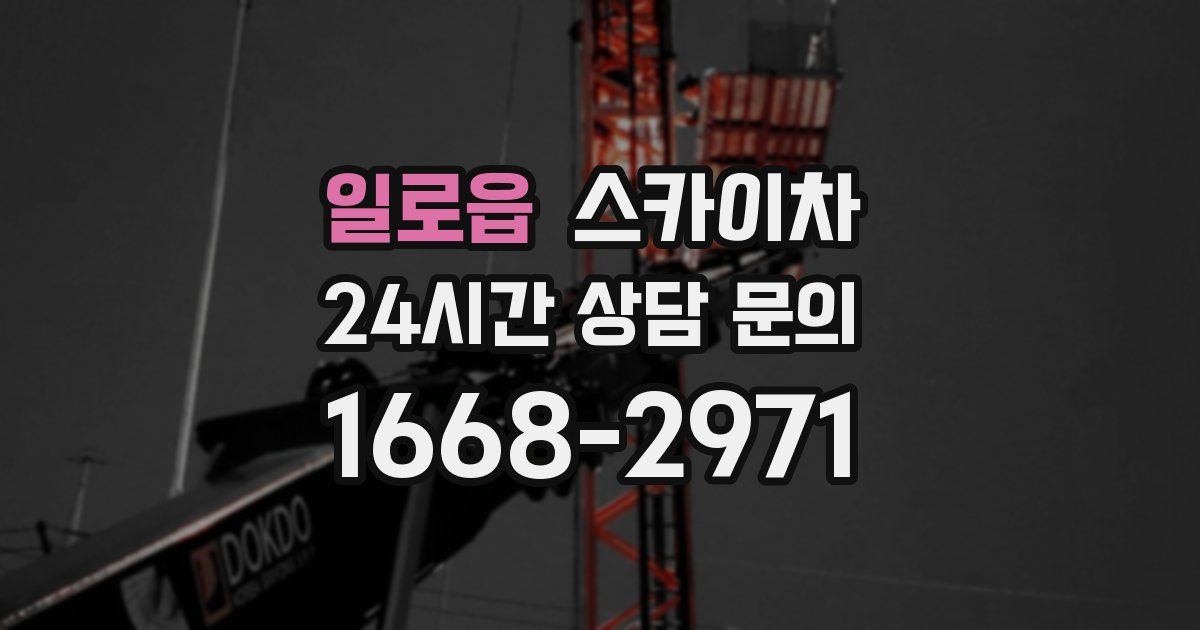 일로읍 스카이차