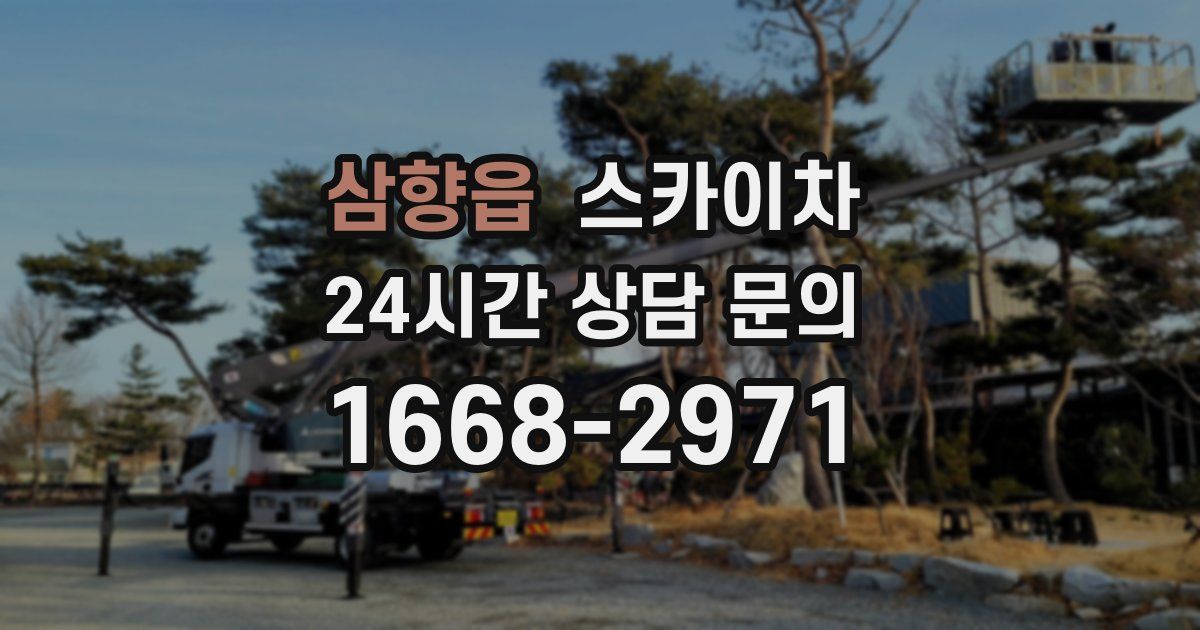삼향읍 스카이차