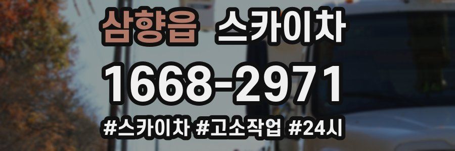 삼향읍 스카이차